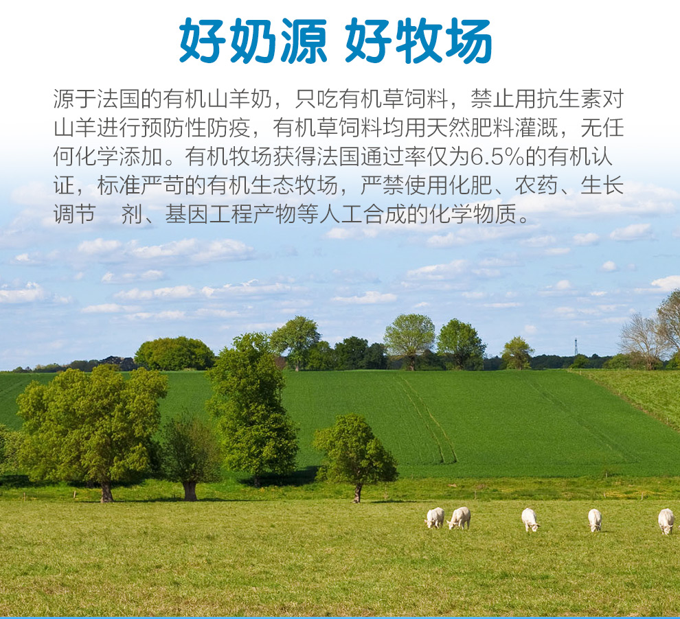 详情图 (3).jpg