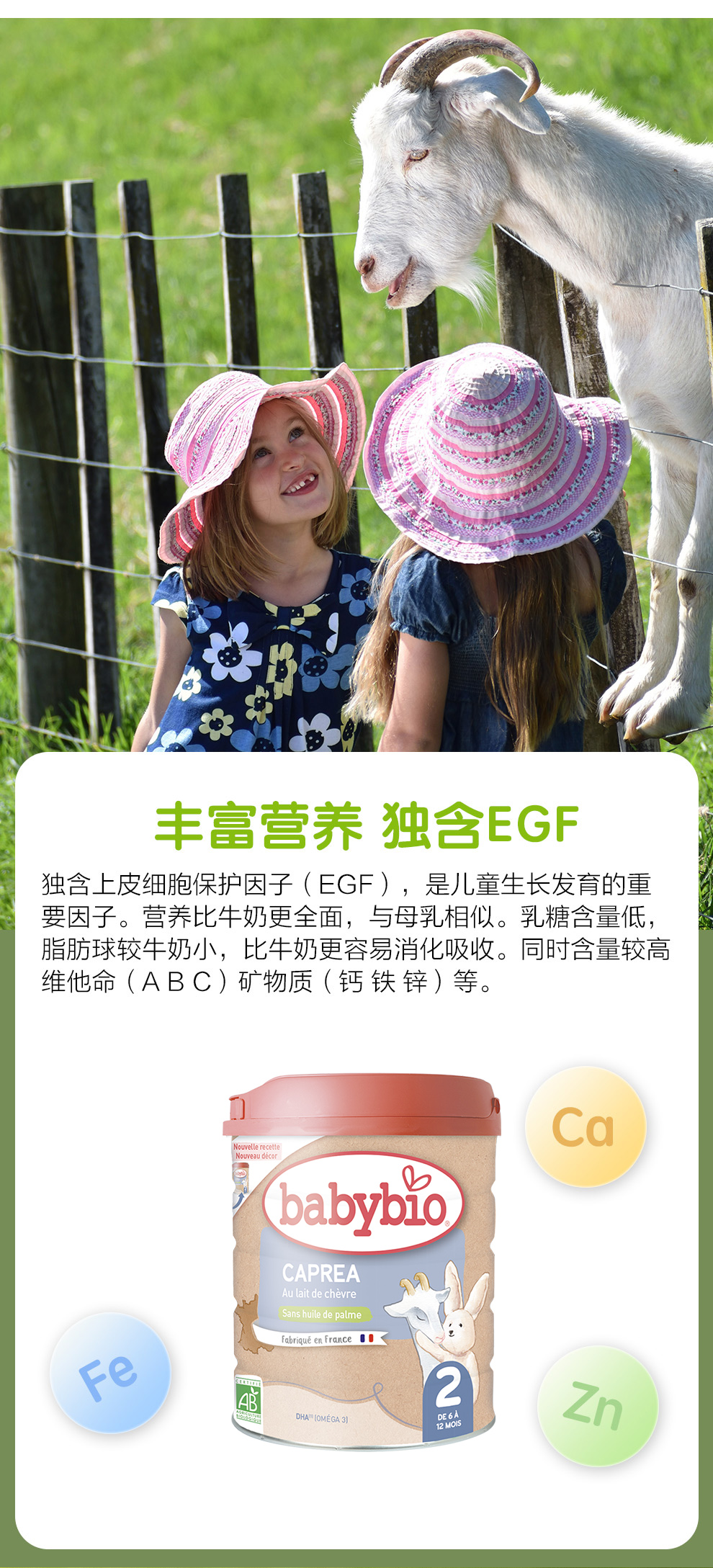 详情图 (4).jpg