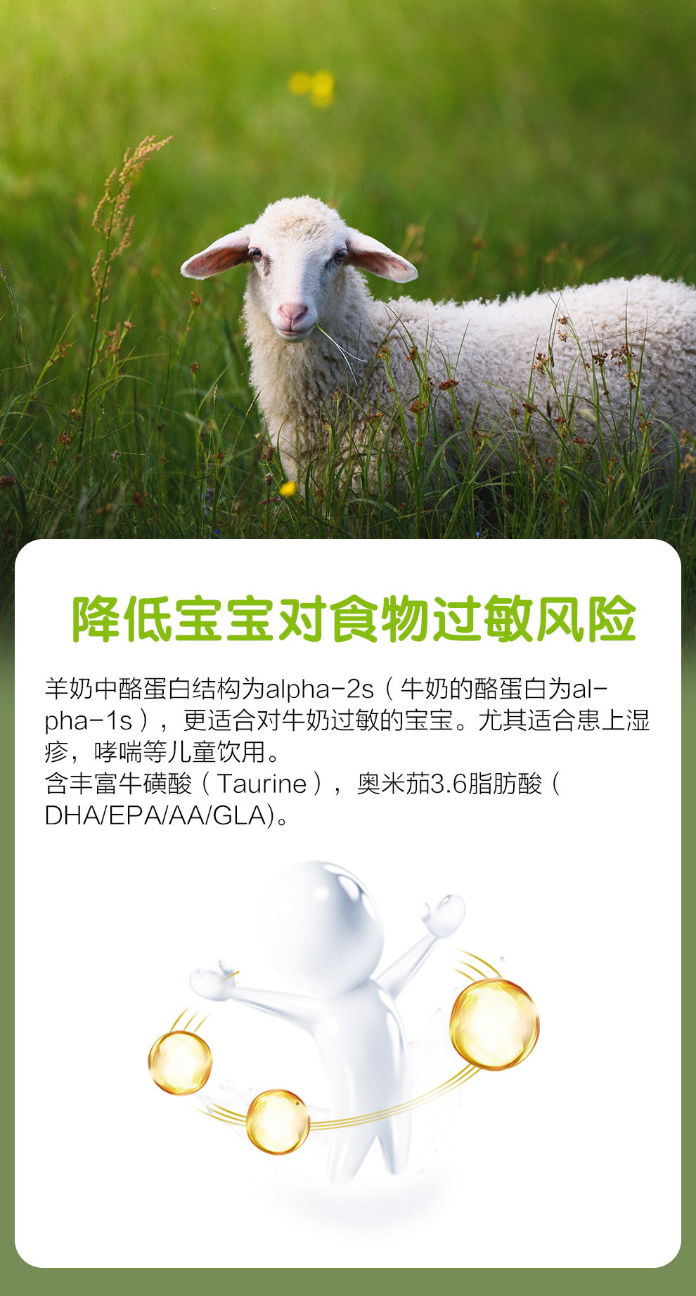 详情图 (5).jpg